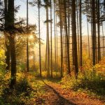 Respire ta vie est en ligne !